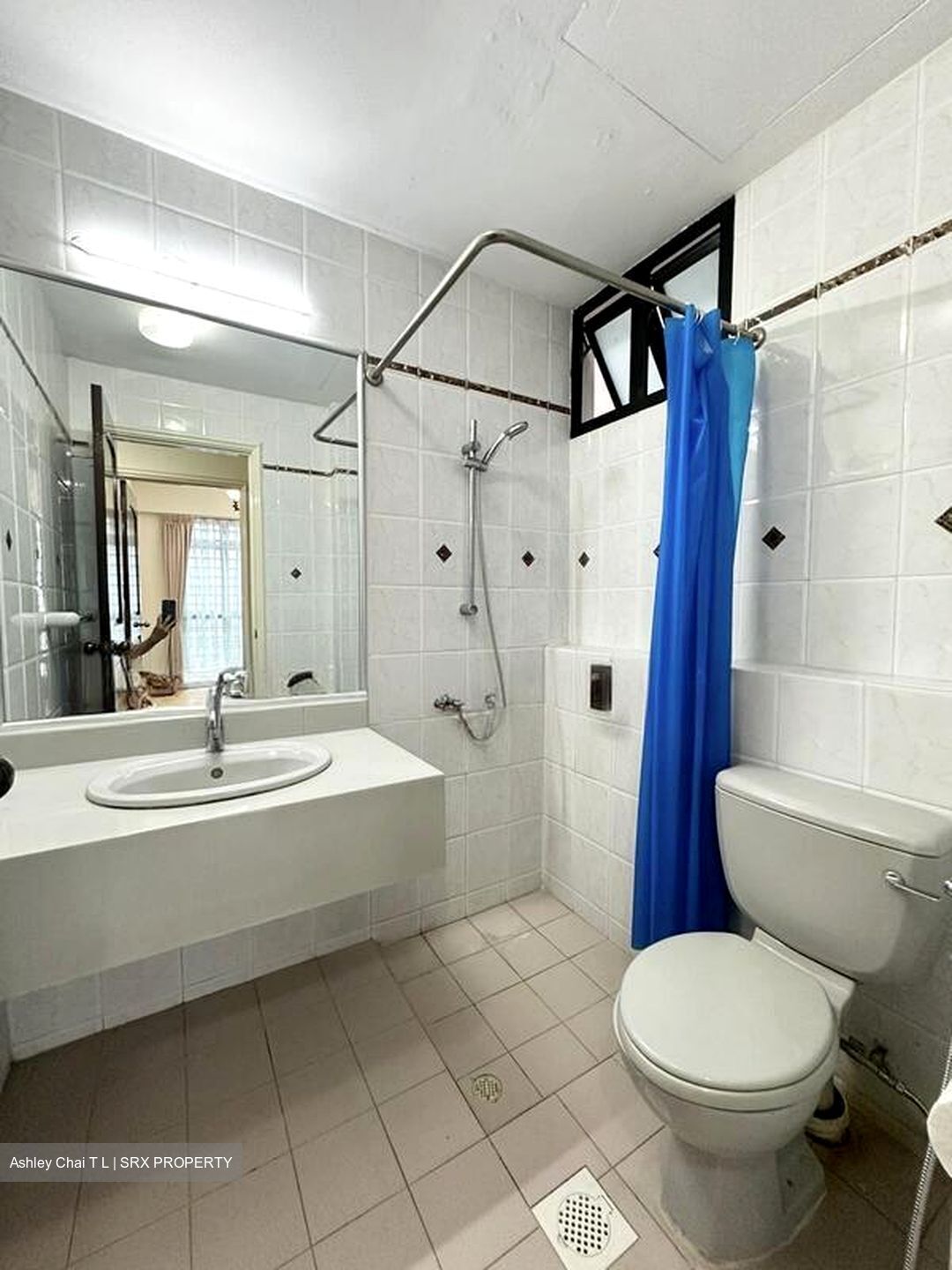 Hume Park I (D21), Condominium #503346541